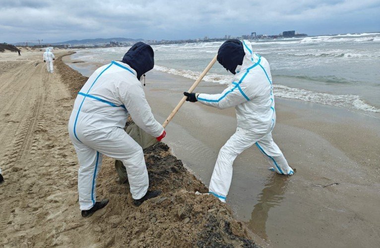 Попова: пляжи Анапы еще не готовы к открытию после разлива мазута