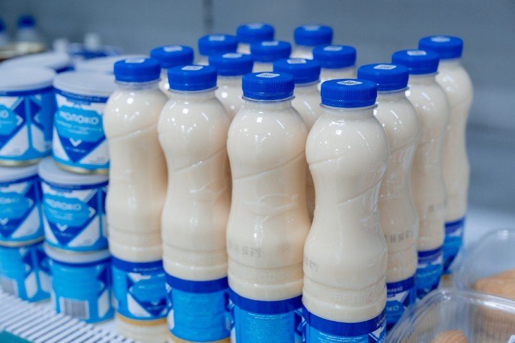 Производители Кубани стали крупными поставщиками молочной продукции за рубеж