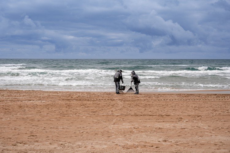 Экологи выяснили, что вода у побережья Анапы очистилась от мазута