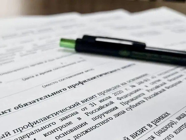 Предписание на профилактический визит