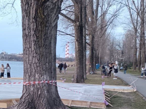 Забетонированные корни деревьев