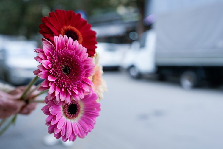 Концерты, выставки и мастер-классы: куда сходить 8 марта в Краснодаре