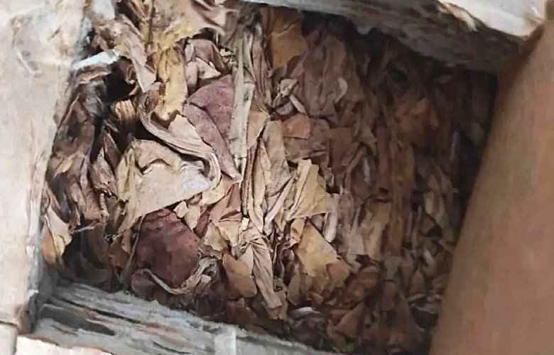 табак лежит в коробке