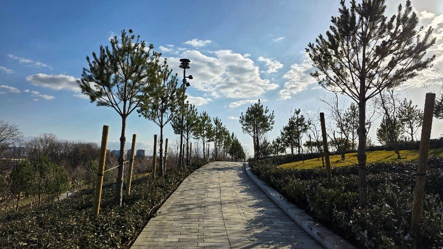 Новые прогулочные аллеи открыли в парке «Краснодар»