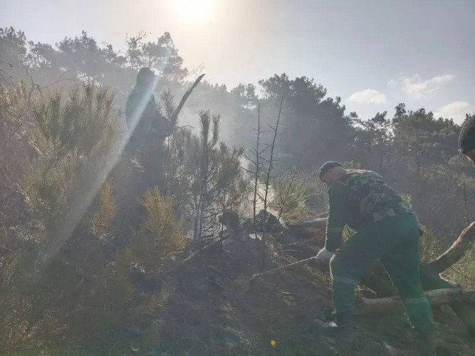 Лесной пожар