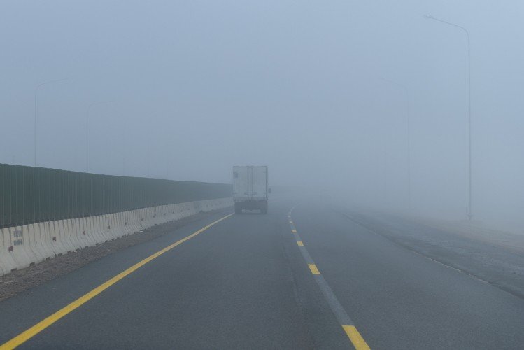 туман на дороге