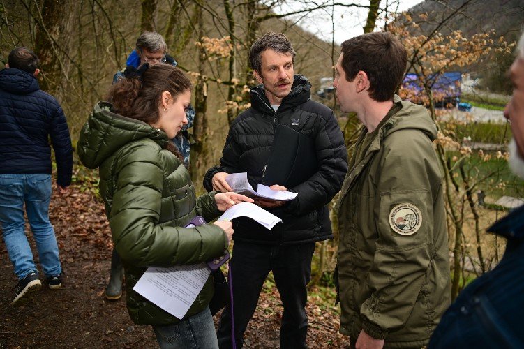Хищного торимуса поселили в лесах Сочи. Он должен защитить каштаны от неубиваемых вредителей