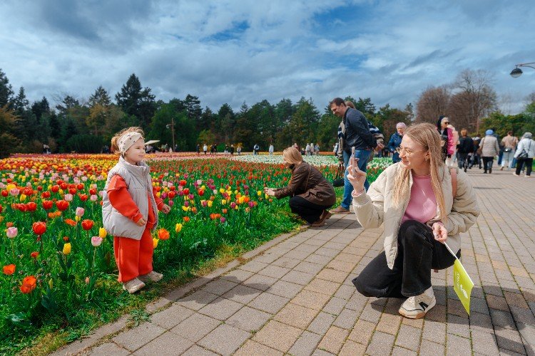 Фоторепортаж: 150 тысяч тюльпанов распустились в Ботаническом саду Краснодара