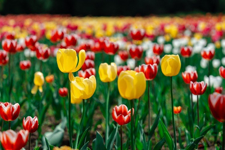 Солнце и тепло принес антициклон в Краснодарский край