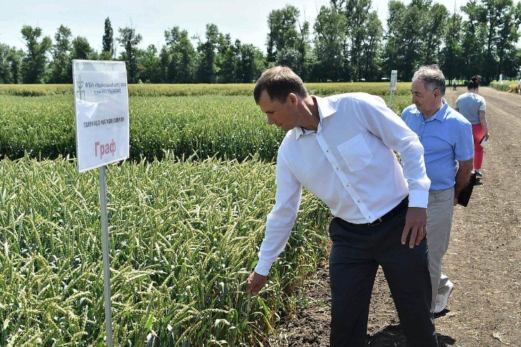 Андрей Коробка идет около поля