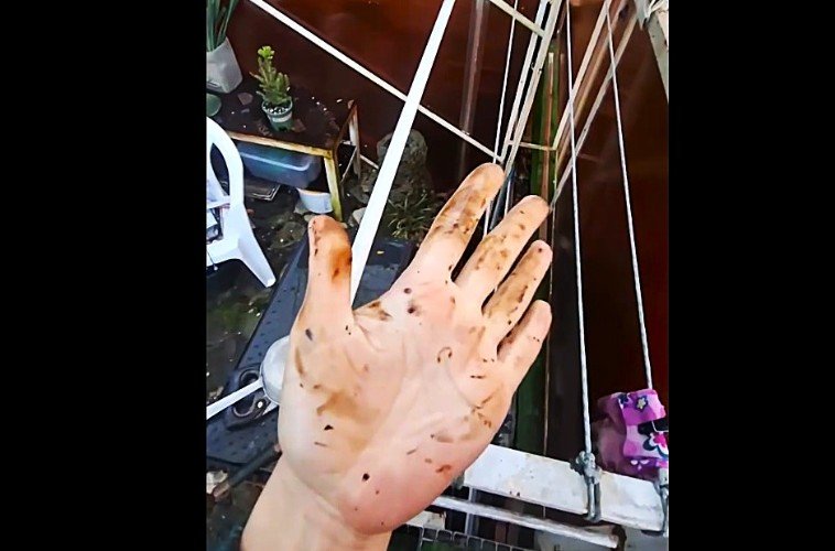 Эксперты раскрыли опасность черного дождя с нефтью в Туапсе