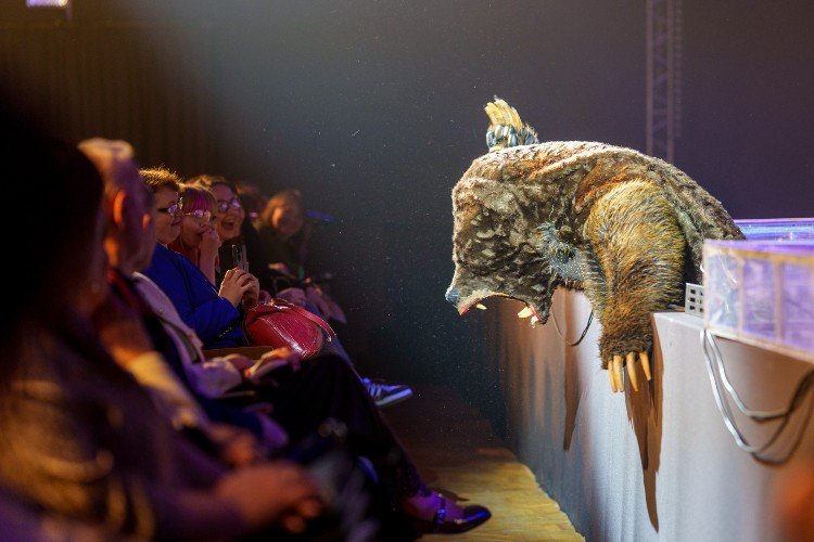 Медведь умирает на сцене