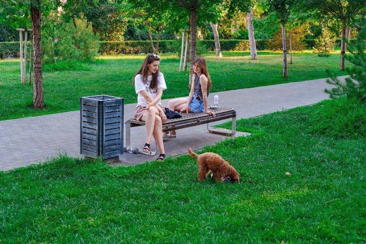 Голосование за зеленые зоны для благоустройства стартовало в Краснодарском крае