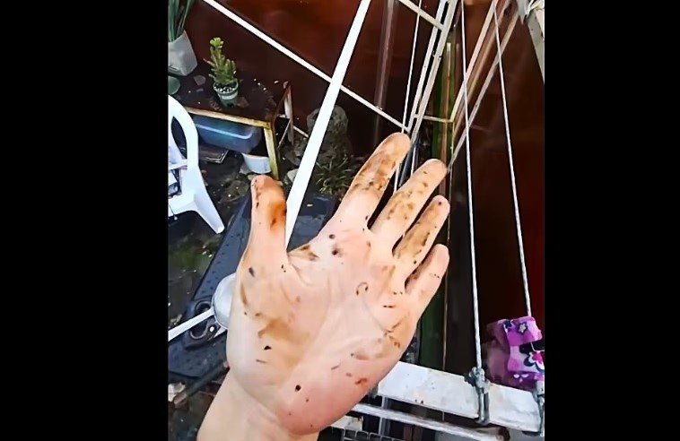 рука в нефти