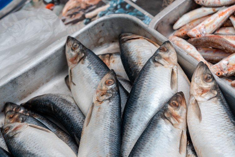 Рыба на прилавке