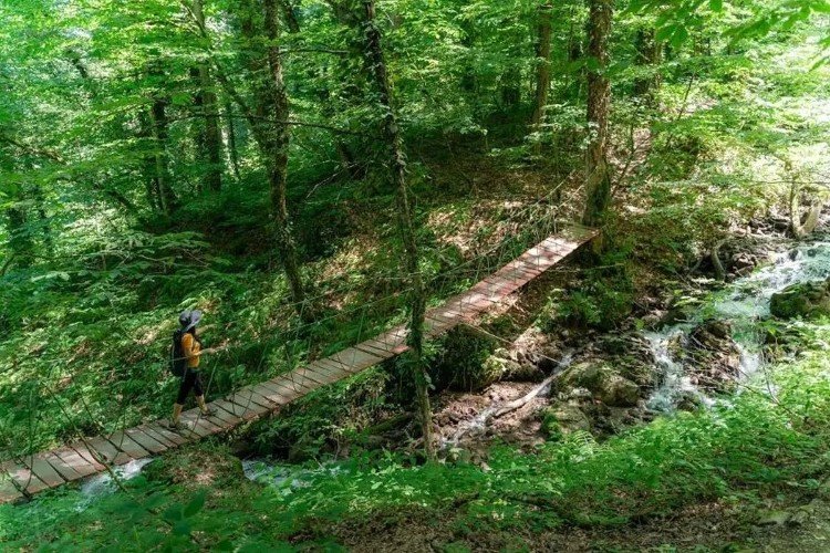 Сезон хайкинга официально стартовал в горах Сочи