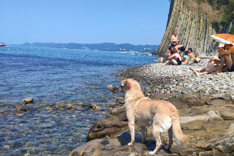 Почти 10 тысяч кубометров грунта и замазученной воды собрали в Туапсе