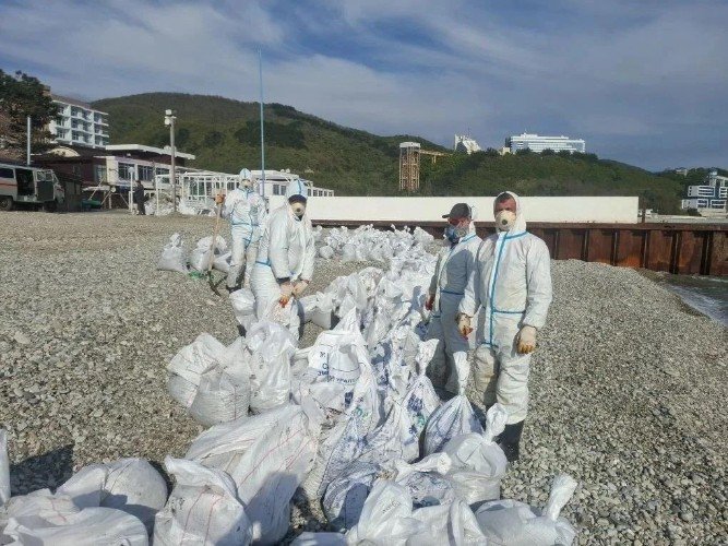 Точечная зачистка: спасатели устраняют нефтяные пятна на побережье Туапсе