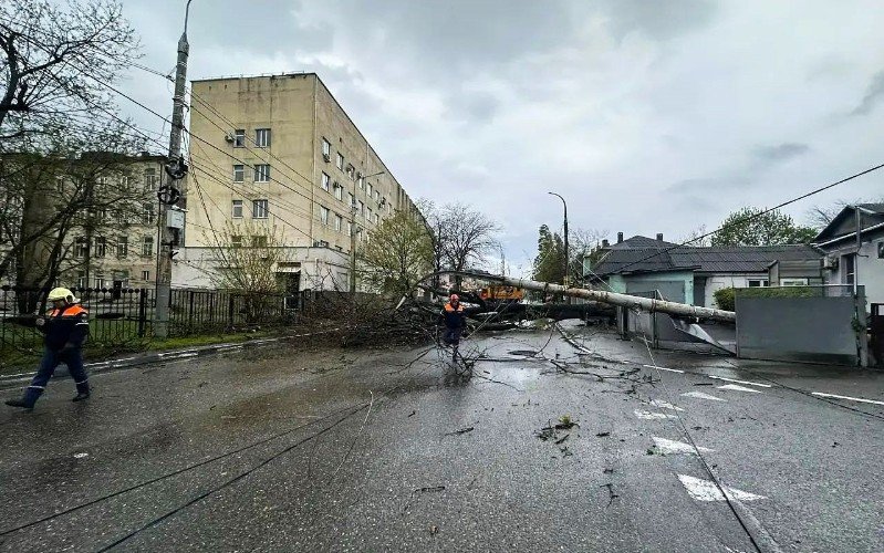 дерево упало на дорогу