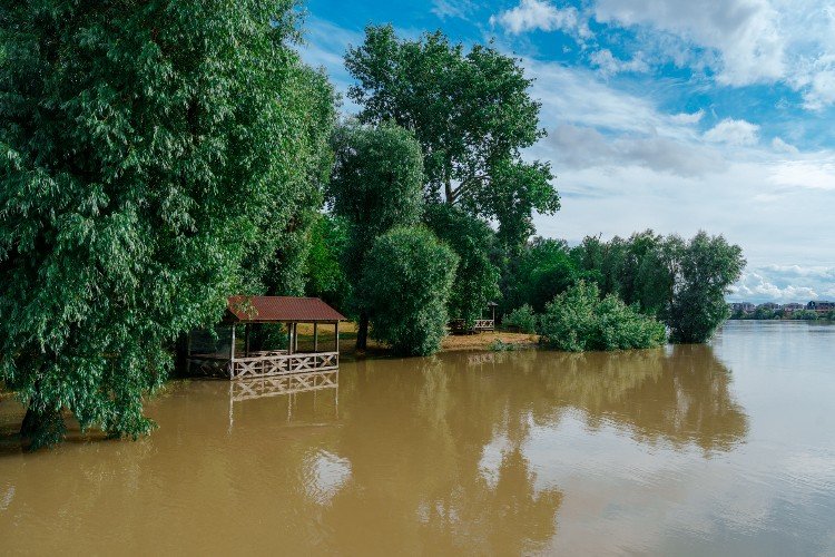 Река Кубань затопила сельхозугодия в двух районах края