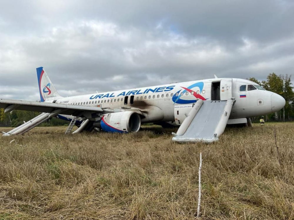 Авиакомпания выплатила компенсации пассажирам рейса Сочи — Омск, севшего на пшеничное поле