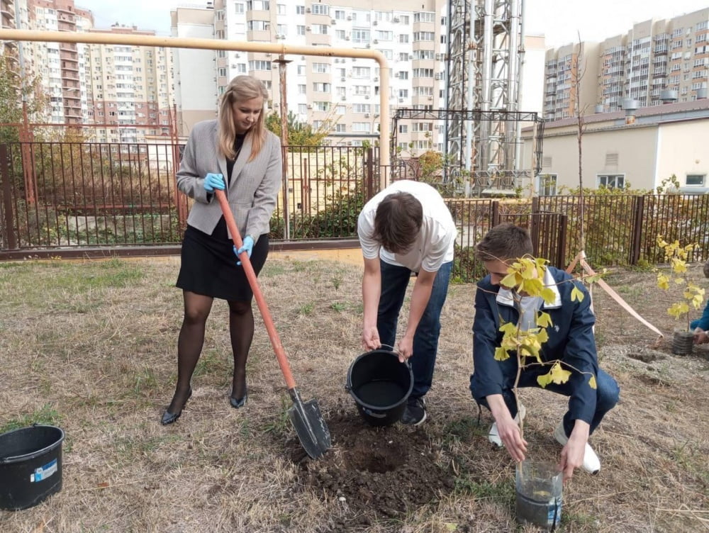 В Новороссийске высадили платаны и девичье дерево