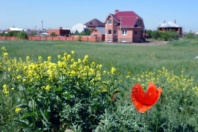 Жителей Карелии и Екатеринбурга обманули с покупкой земли на Кубани