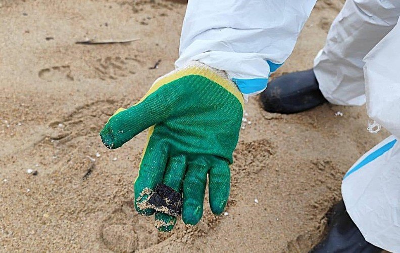 Мазут в руке волонтера на пляже Анапы