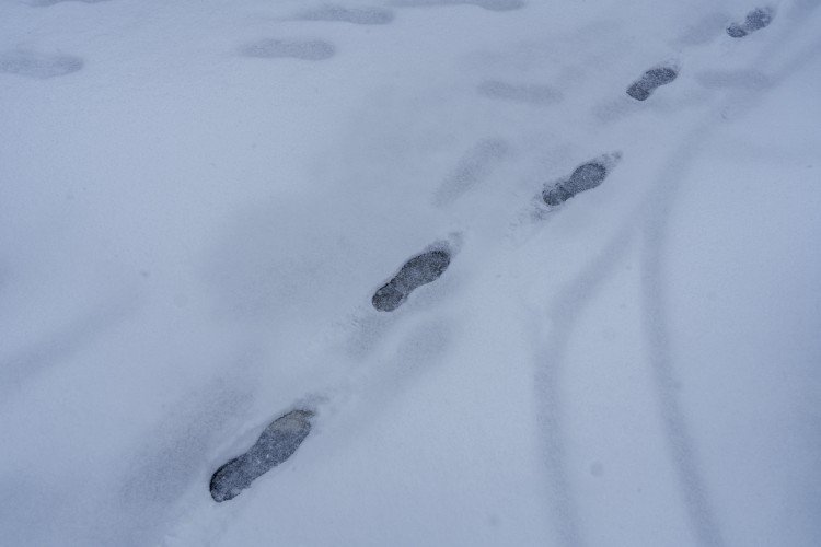 Следы на снегу