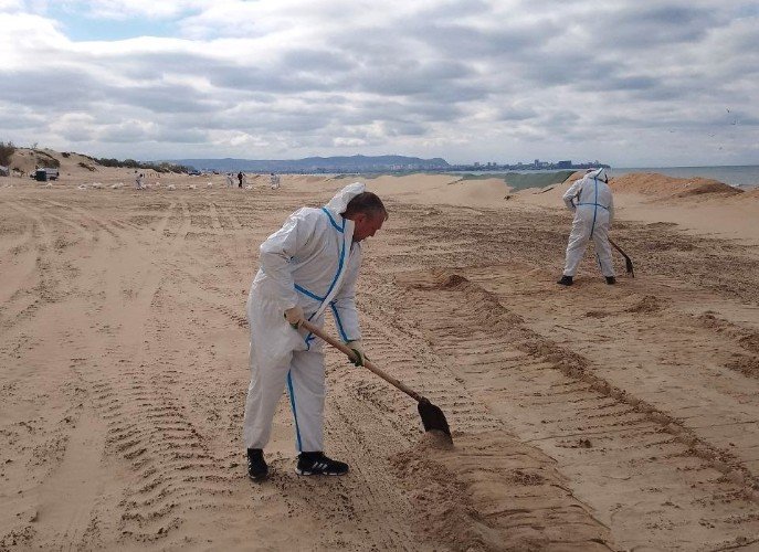 люди работают на пляже