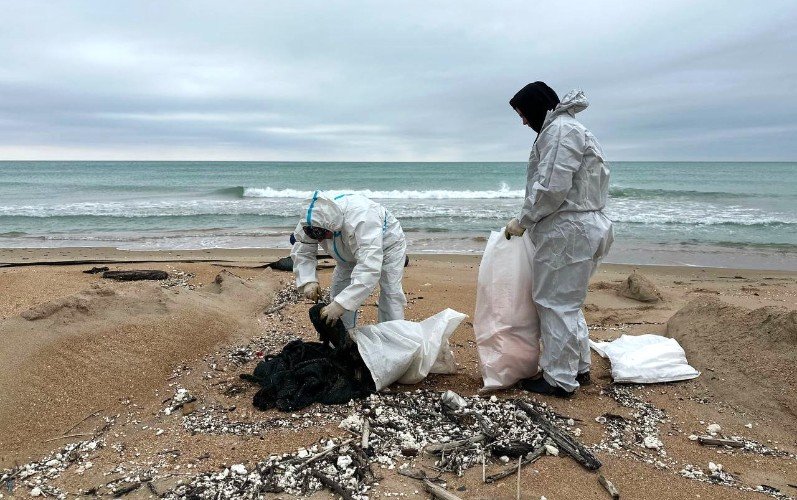 Люди собирают мусор