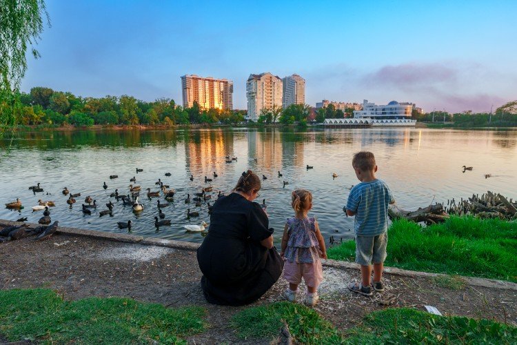 семья кормит уток