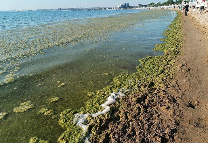 Фото: «Кубань Информ»