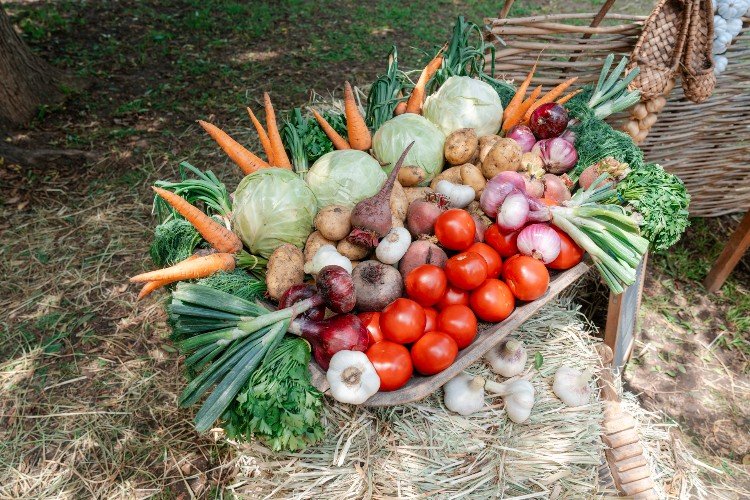 овощи лежат в корзине