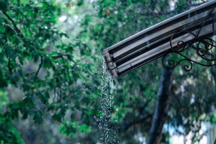 Краснодарский край встречает июль дождями и грозами