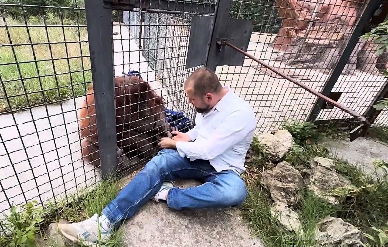 человек сидит у клетки