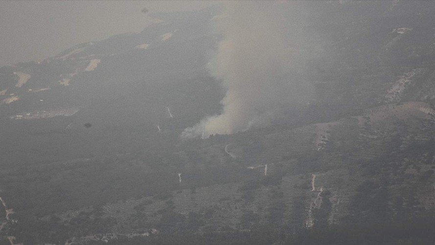 Лесной пожар близ села Кабардинка