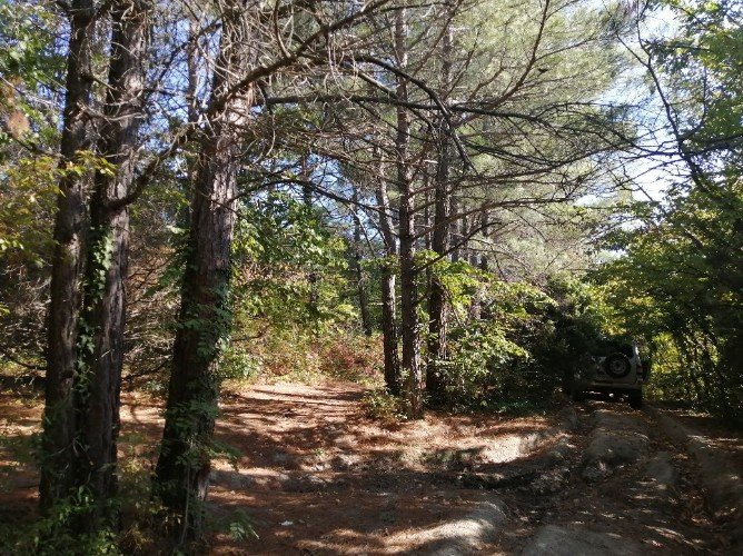 Особо охраняемая природная территория