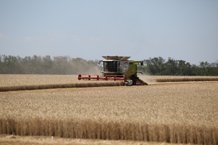 комбайн идет по полю