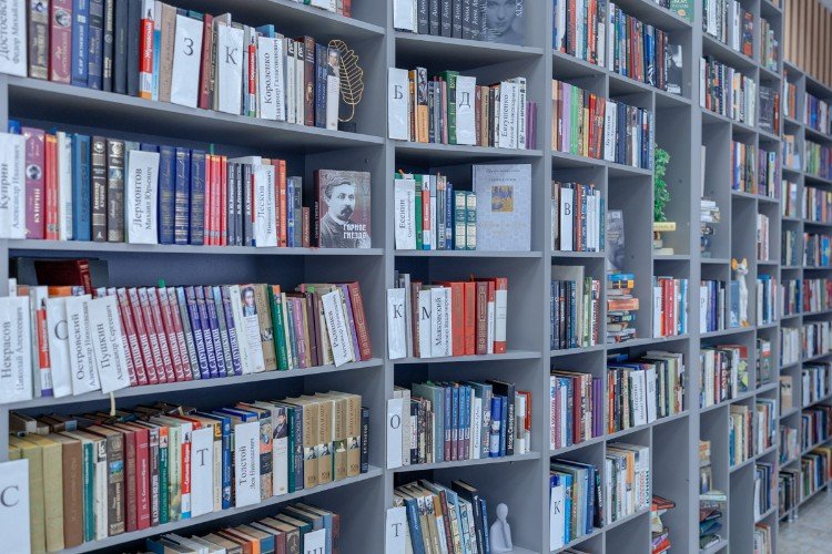 книги стоят на стеллажах