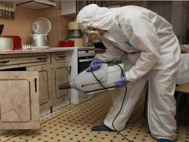 Дезинфектор убивает тараканов ядом