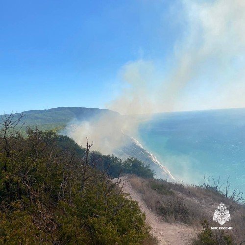 Лесной пожар