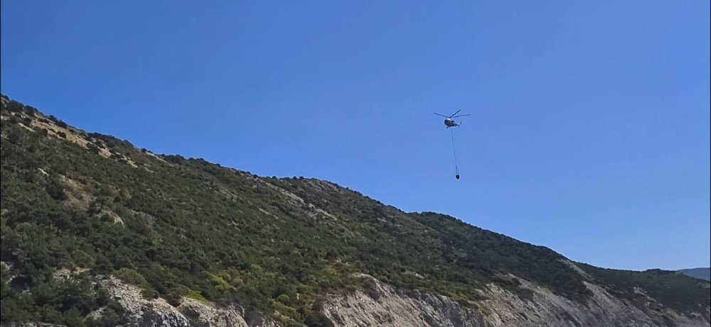 вертолет летит над лесом