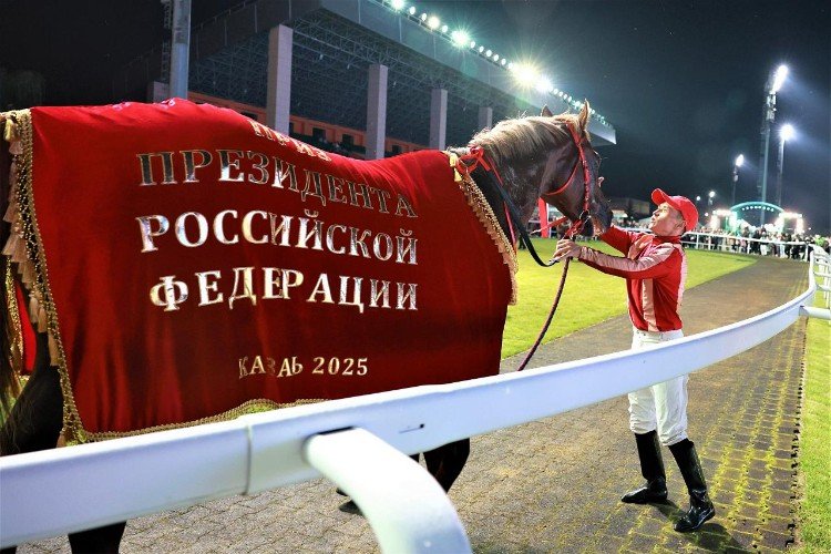 Жеребец со своим скакуном на скачках в Казани