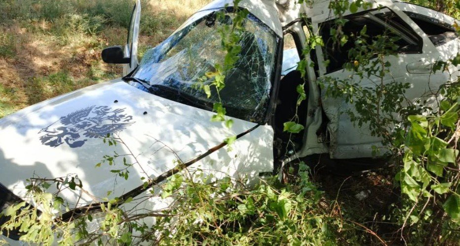 разбитое авто стоит под деревом