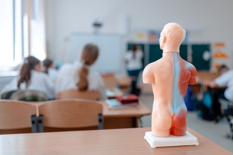 манекен стоит на парте