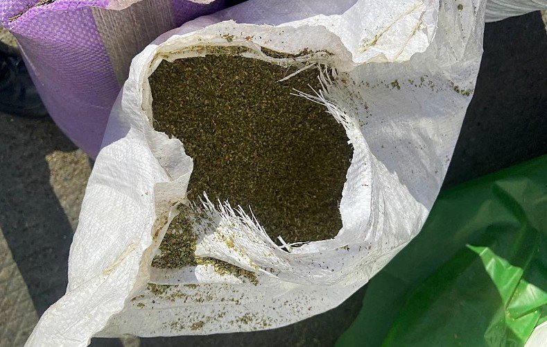 сушеная зелень лежит в мешке