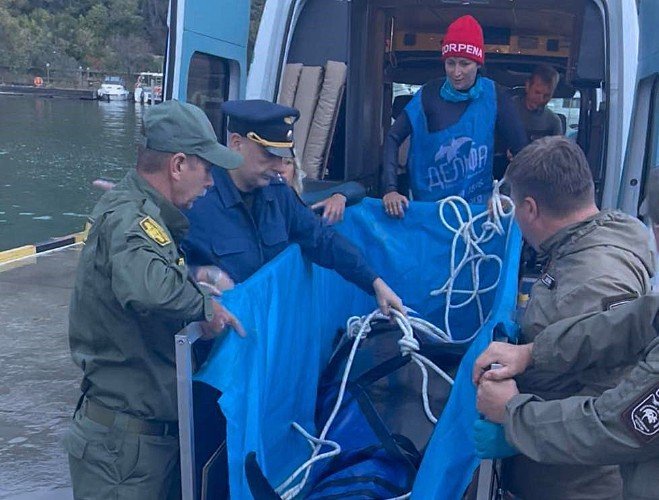 люди держат дельфина