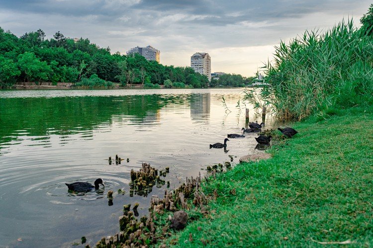 Река Кубань