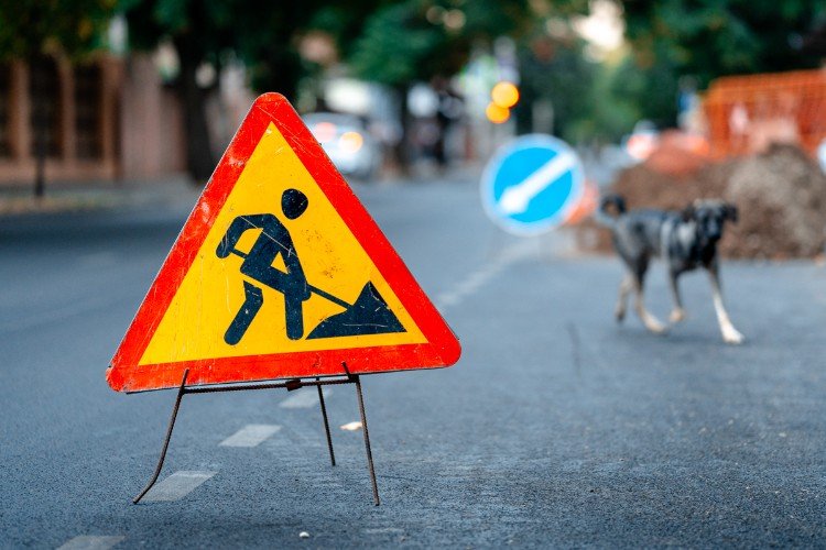 собака бежит мимо дорожного знака